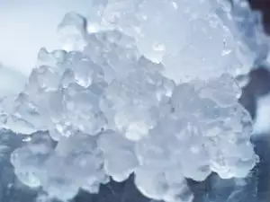 Наноцелулоза от водорасли - новото биочудо!