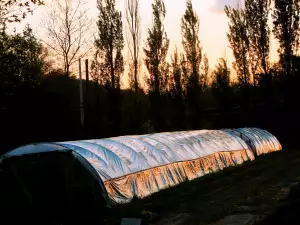 Оранжерия