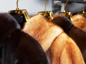 Енергията на кожите