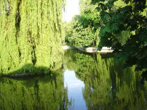 На Ивановден ледена вода от реката носи здраве