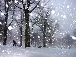 Какво означава, ако сънувате сняг