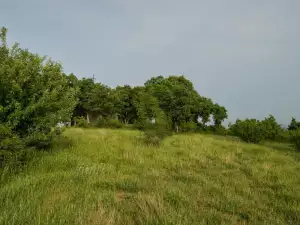 Загадъчен подземен град се крие в Родопите
