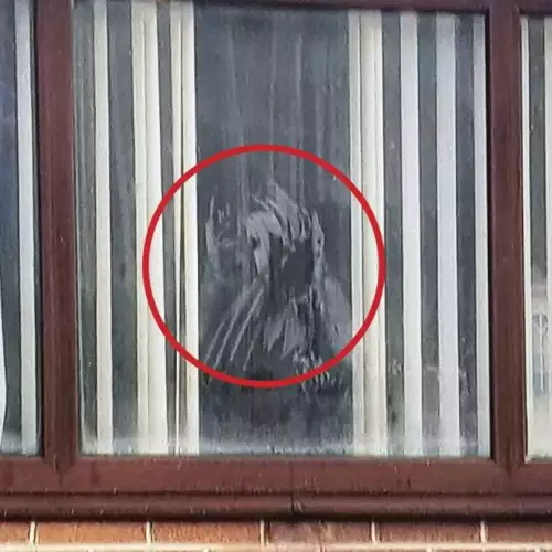 Ловец на духове засне призрачна жена с котка