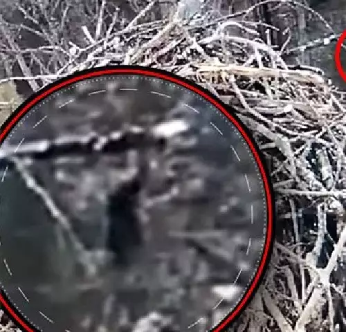 Заснеха Йети в щата Мичиган