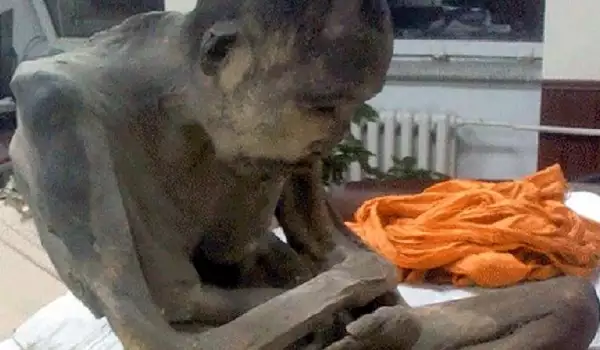 Мумия на монах