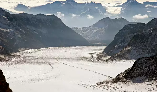 Ледници в Алпите