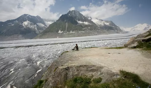 Ледници в Алпите