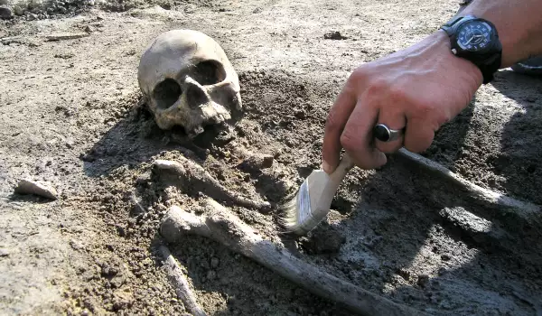Откриха скелет на вампир с вълчи зъби