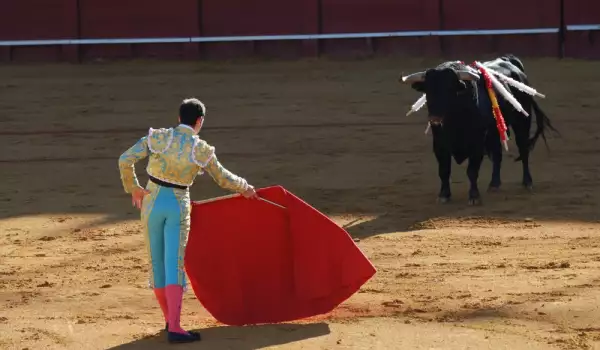 Защо биковете налитат на червено?