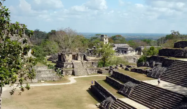 Неизвестна култура открита в Мексико
