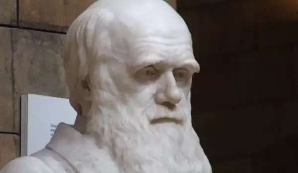 Чарлз Дарвин - живот и постижения