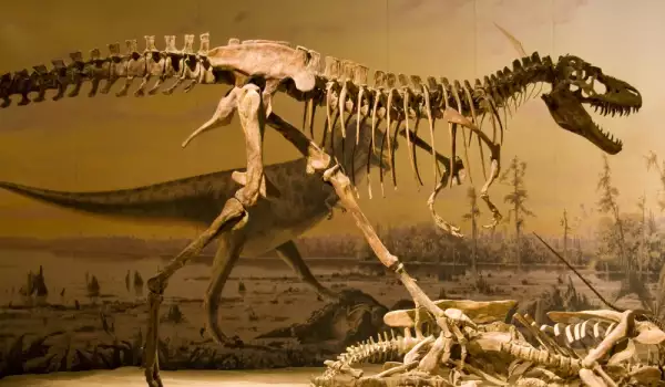 Ангола била развъдник за динозаври