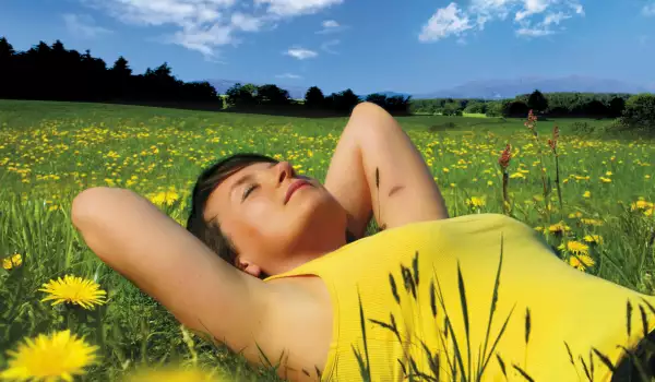 Жълти цветя в съня: какво предсказват?