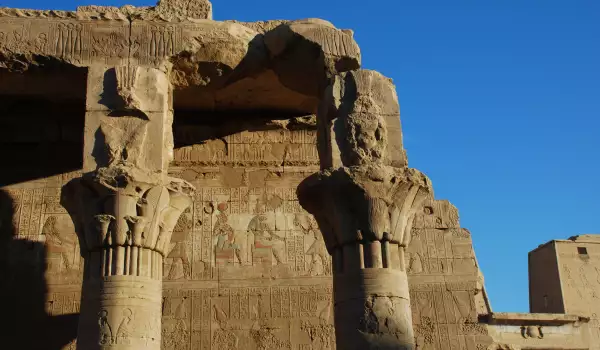 Египетски колони