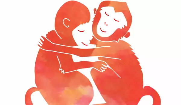Зодия Маймуна: Любовна съвместимост и връзки