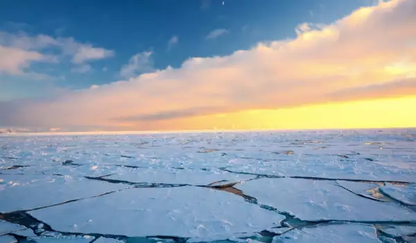 Мумия на полярна принцеса разкриха ледовете на Арктика