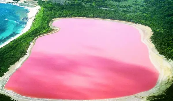 Розово Езеро Хилиър