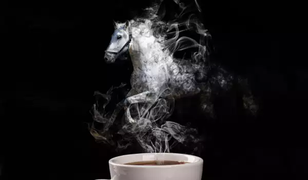Гадаене на кафе: Фигурата на кон разкрива много за бъдещето ти!