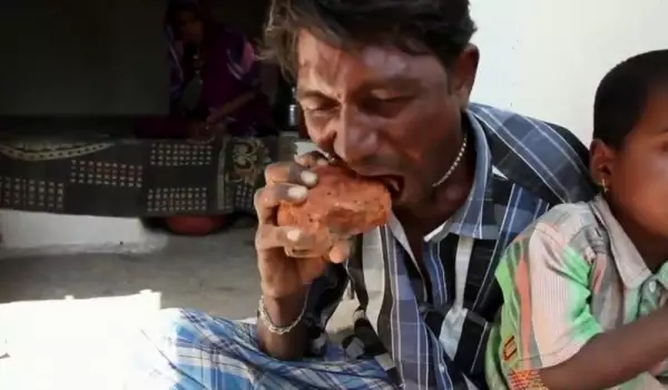 Индиец яде тухли