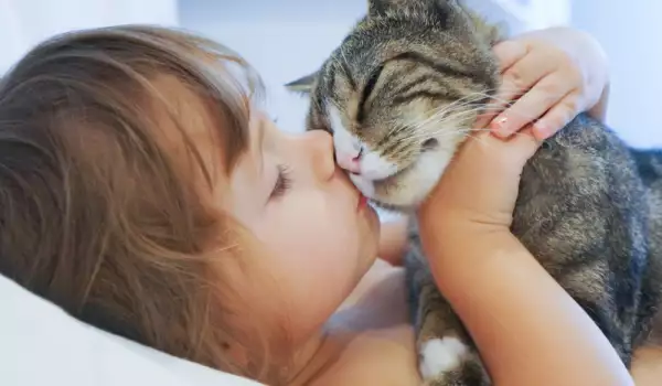 Дете с котка