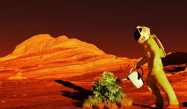 Умно водорасло – ключът за живот на Марс