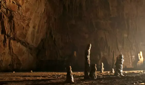 Гигантски кости открити в пещера в Бавария