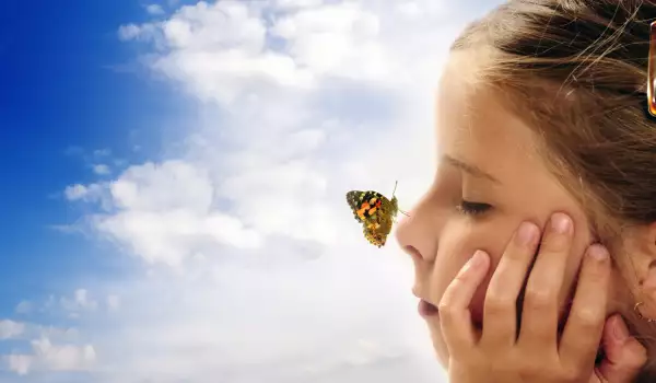 Какво означават пеперудите в сънищата