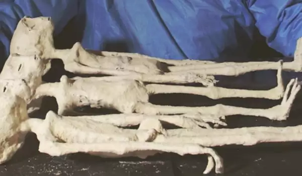 Мумии на извънземни от Перу преобръщат историята на човечеството