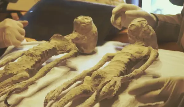 Мумии на извънземни от Перу преобръщат историята на човечеството
