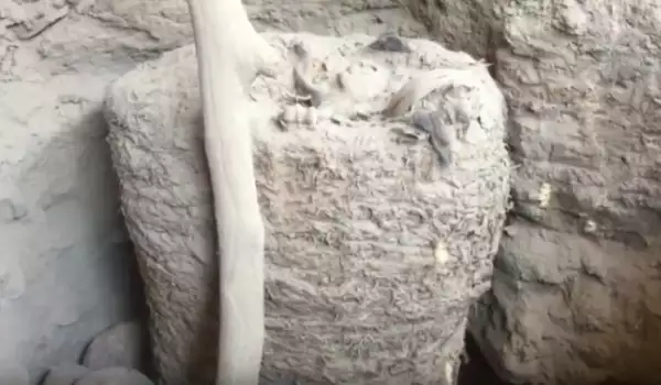 Мумия на 1000 години се появи в Перу