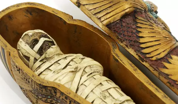 Лабиринт с мумии откриха до Кайро