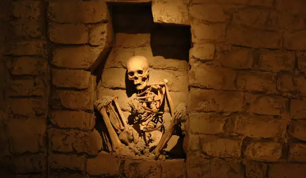 Откриха скелета и гроба на Сервантес