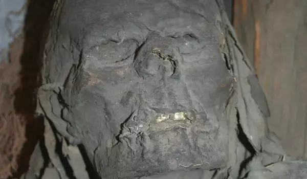 Праисторически мумии – отровени
