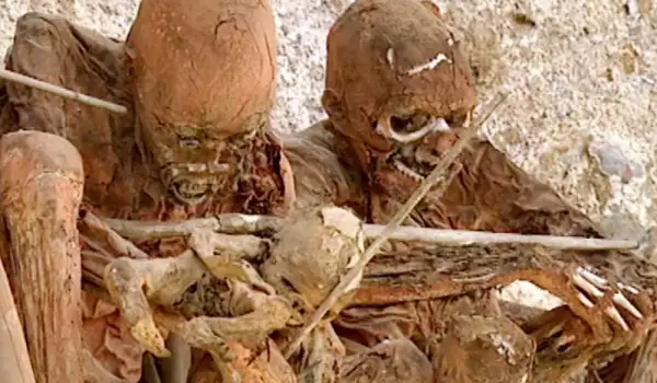 Опушени мумии
