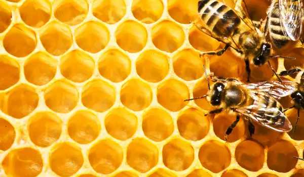 Пчели превръщат в мумии нападателите си