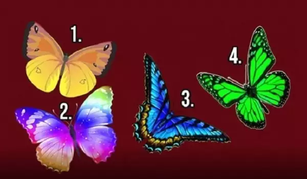 Тест: Избери най-красивата пеперуда и разкрий душата си!