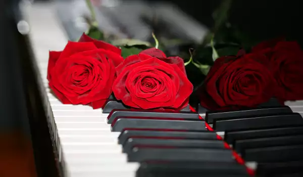 Какво символизира червената роза?