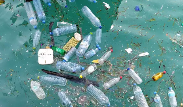Изхвърляме по милион пластмасови бутилки в минута