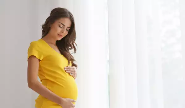 Кои сънища предсказват бременност?