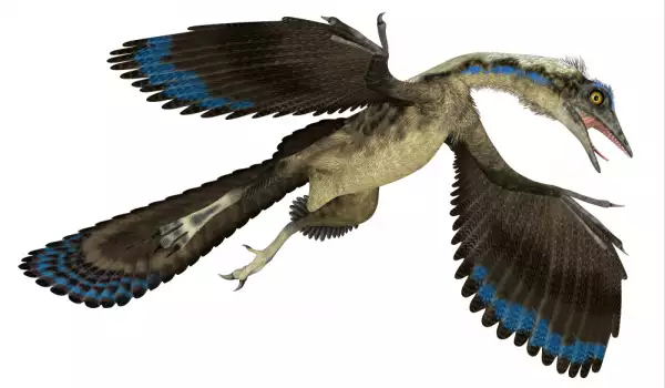 Фосил на непознат летящ динозавър изуми учените