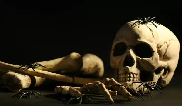 Кости и скелет насън