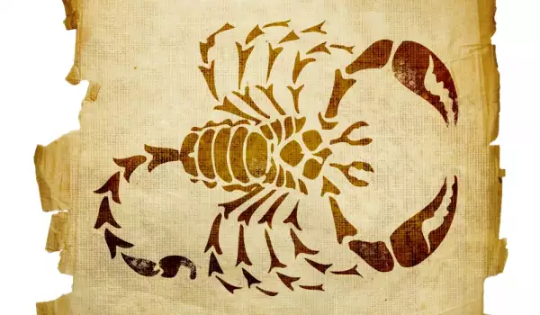 Годината на змията за Скорпион