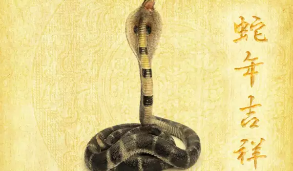 Година на змията