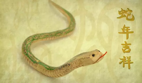 Китайски хороскоп: зодия Змия