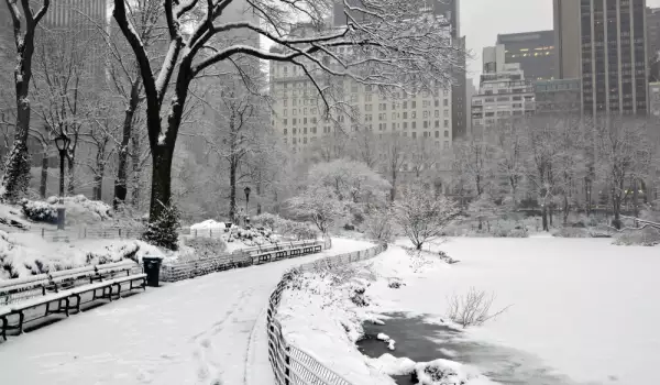 Снежна буря в Ню Йорк