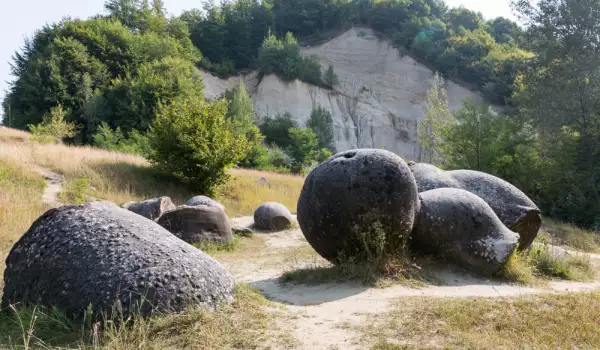 Живите камъни трованти - едно от чудесата на света