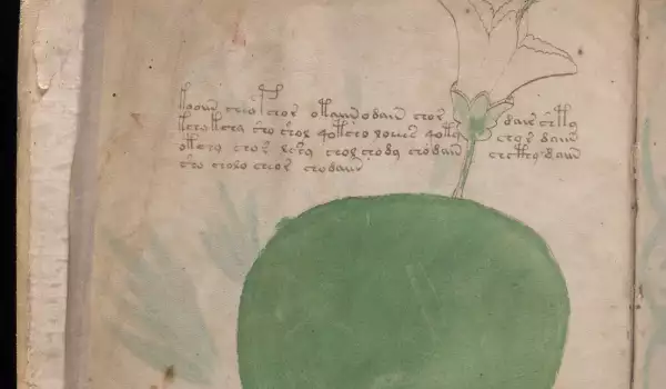 Ръкописът на Войнич – историческа мистерия на 102 години