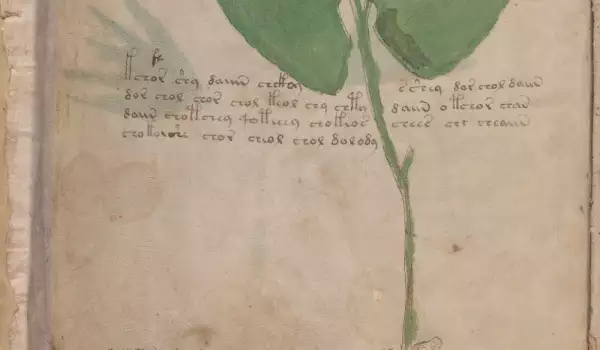 Ръкописът на Войнич – историческа мистерия на 102 години