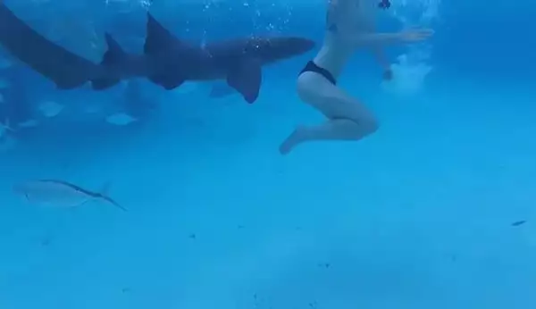 Нападната от акула жена на медения си месец