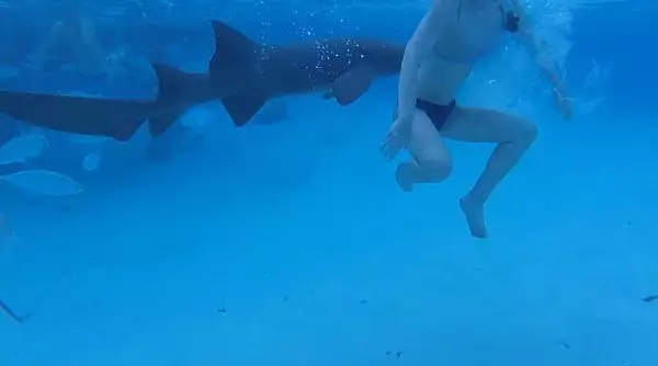 Нападната от акула жена на медения си месец